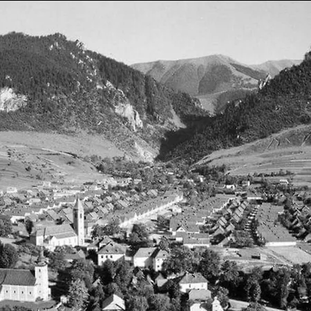 Деревянный коттедж Chata Polovica *