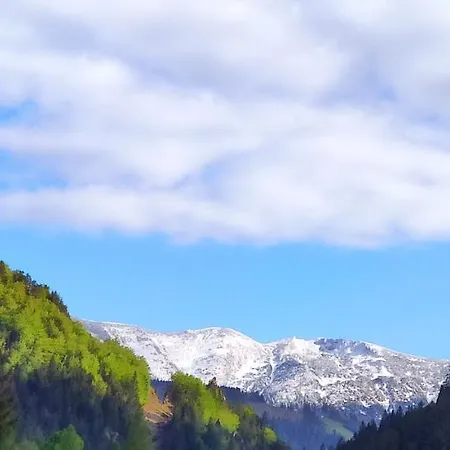 Chata Polovica Деревянный коттедж