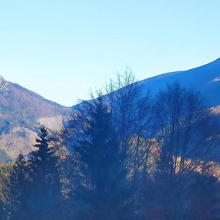 Деревянный коттедж Chata Polovica