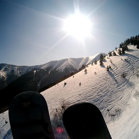 Деревянный коттедж Chata Polovica *