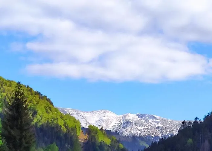 Chata Polovica Деревянный коттедж