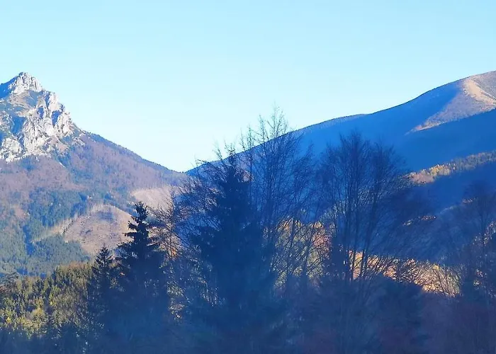 Деревянный коттедж Chata Polovica