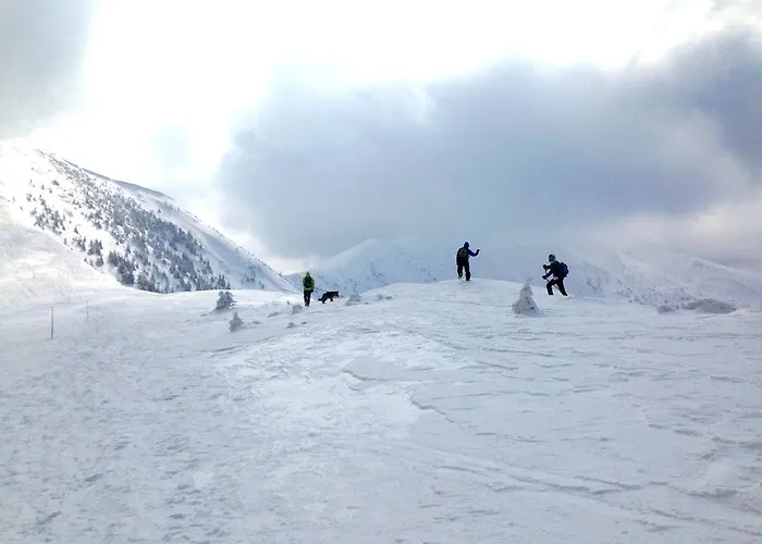 Chata Polovica Деревянный коттедж *