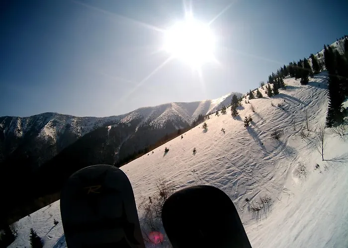 Деревянный коттедж Chata Polovica *